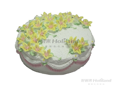 开云电竞官方网站