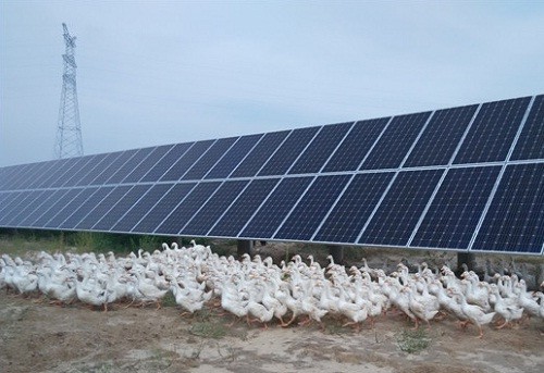 开云电竞官方网站