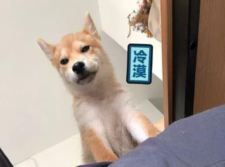 中国学生空难遭碾压视频曝光 消防局失职|开云电竞官方网站(图2) 开云电竞官网